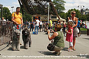 At the Eiffel Tower, Paris