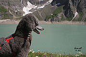 Jessi am Stausee Moserboden in Kaprun